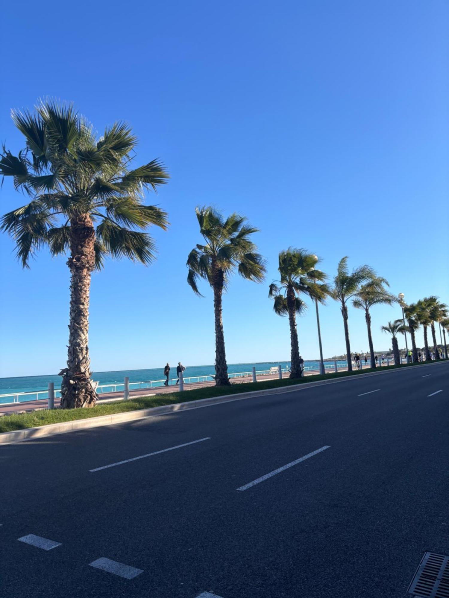 Grand Studio De 30 M2 Promenade Des Anglais 尼斯 外观 照片